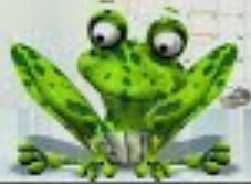 Anthropogene Ursachen